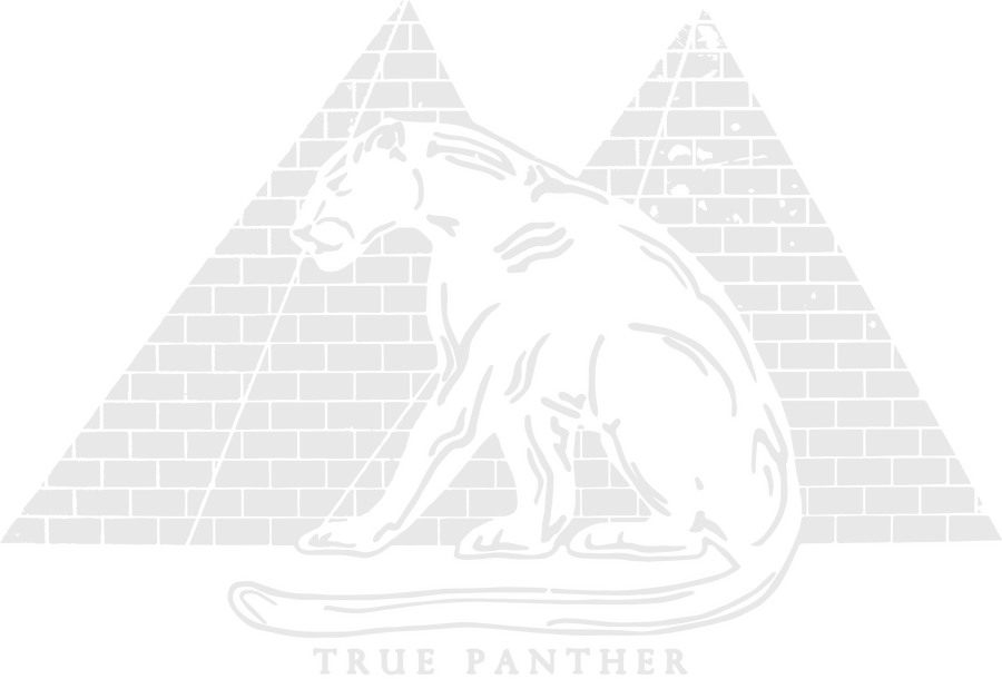True Panther Logo