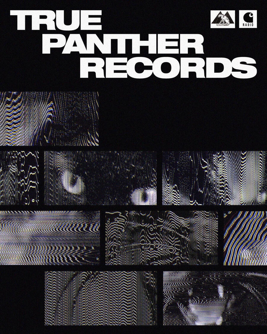 True Panther x carhartt WIP