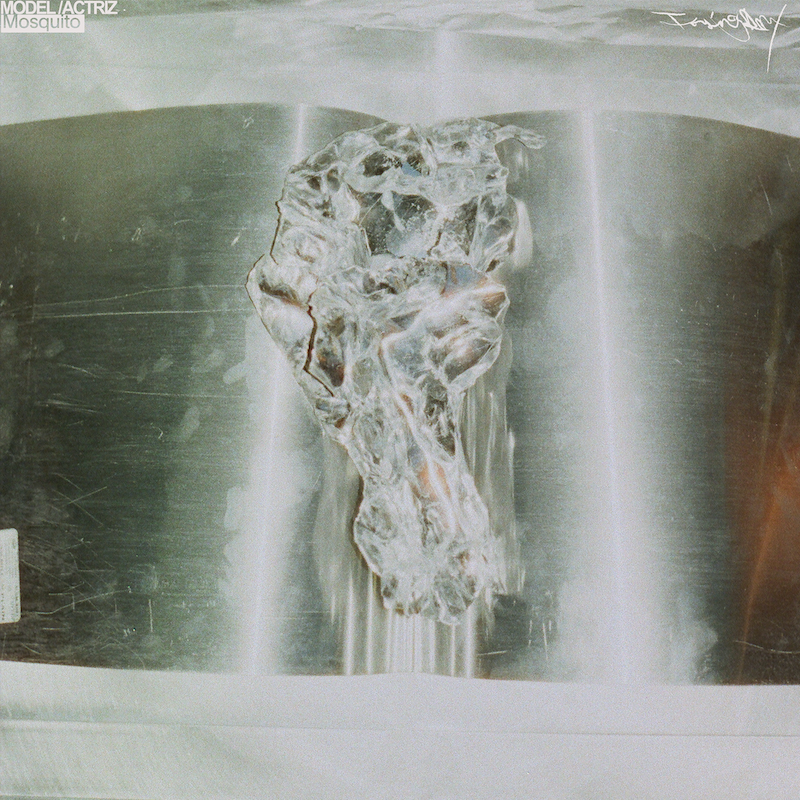 Model/Actriz - Mosquito (Tzusing Remix)