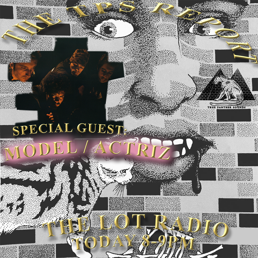 The TPS Report w/ Model/Actriz